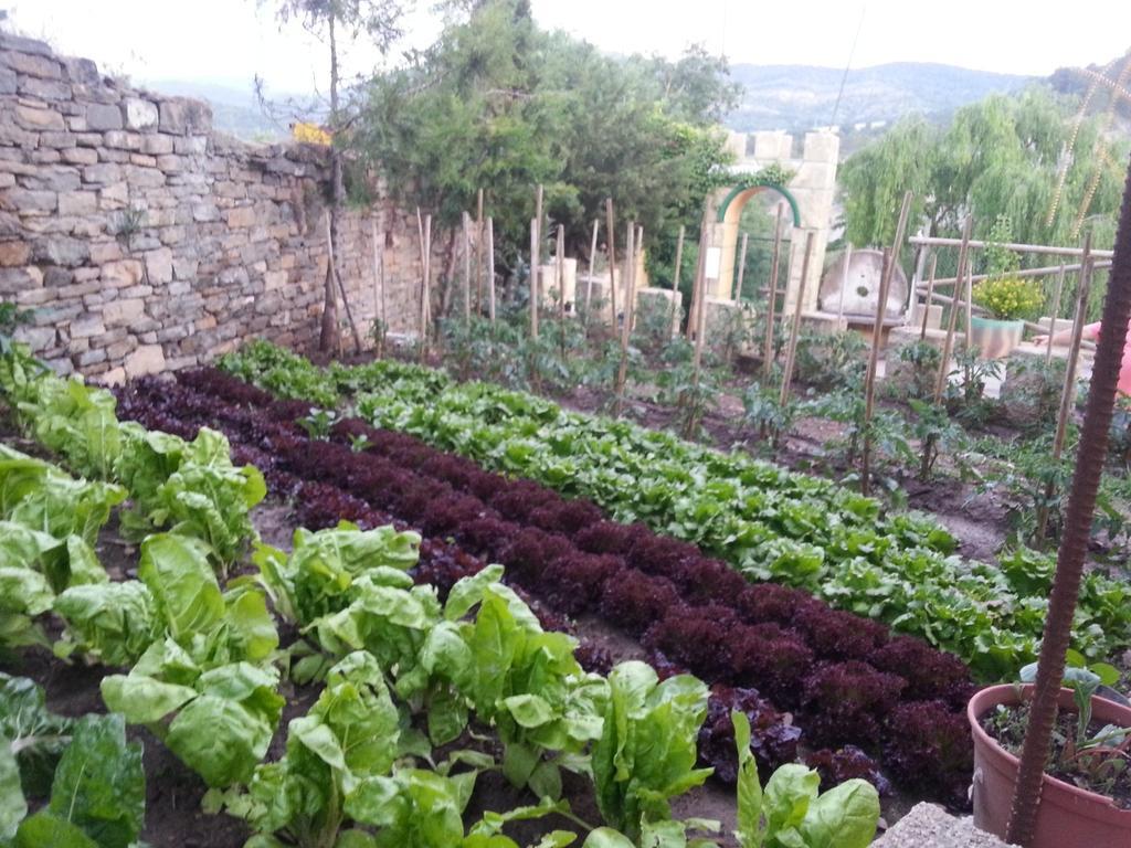 Las Bodegas De Claveria El Humo de Muro Bagian luar foto